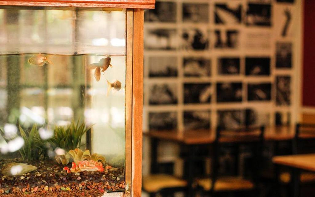 Hostel Parque Central Mendoza Dış mekan fotoğraf